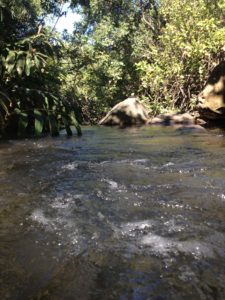 Kalalau Valley stream