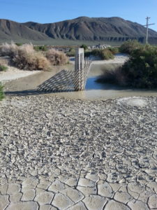 Black Rock Desert Camping